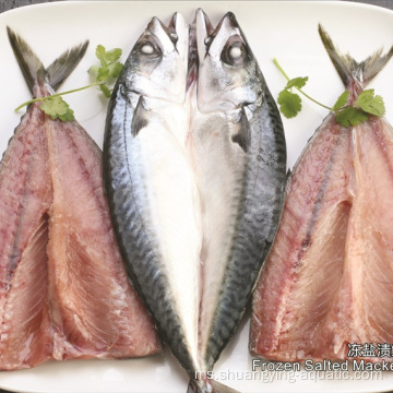Eksport ikan beku beku flap flaps rama -rama mackerel